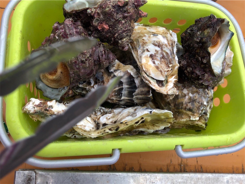 福岡県糸島市 岐志漁港 牡蠣小屋 富士丸 感想