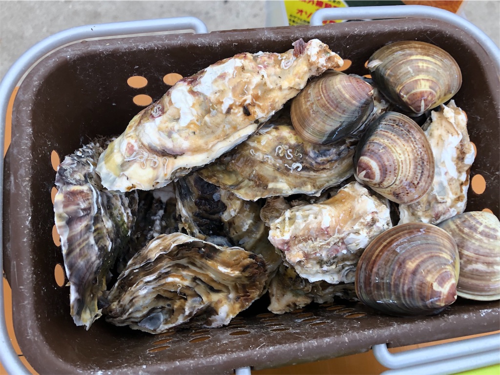 福岡県糸島市　岐志漁港　牡蠣小屋　富士丸　感想