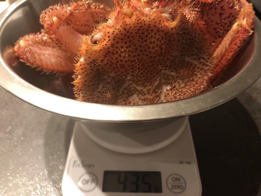 楽天 ふるさと納税 北海道浦河(うらかわ)町 日高産 活き毛ガニ 口コミ 感想