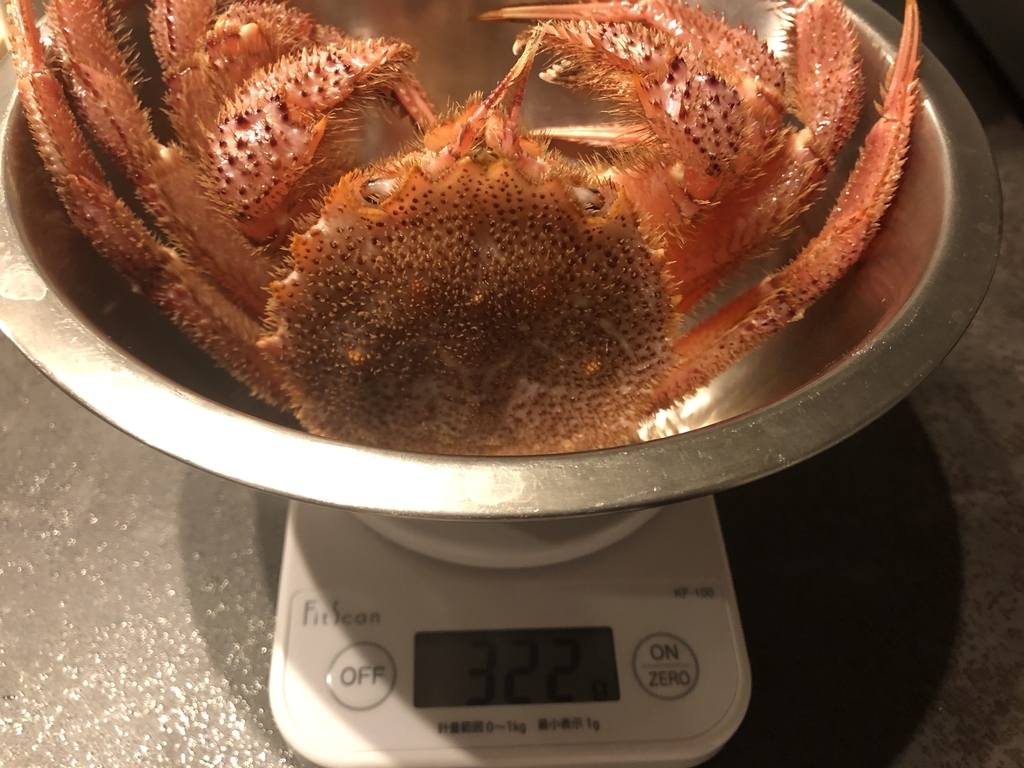 楽天 ふるさと納税 北海道浦河(うらかわ)町 日高産 活き毛ガニ 口コミ 感想
