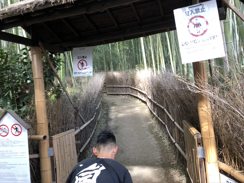 京é½ãåµå±±ã人åè»ãä½é¨ãé«ããææ³ãã¬ãã¥ã¼ãå£ã³ããæé