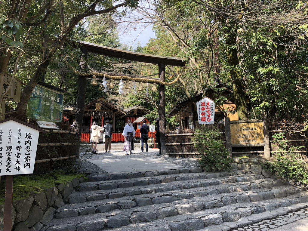 京é½ãåµå±±ã人åè»ãä½é¨ãé«ããææ³ãã¬ãã¥ã¼ãå£ã³ããæé