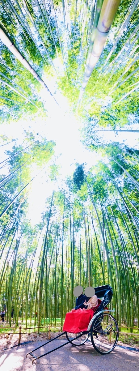 京é½ãåµå±±ã人åè»ãä½é¨ãé«ããææ³ãã¬ãã¥ã¼ãå£ã³ããæé