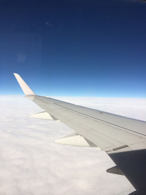 f:id:h1karu:20141021084010j:image:w360
