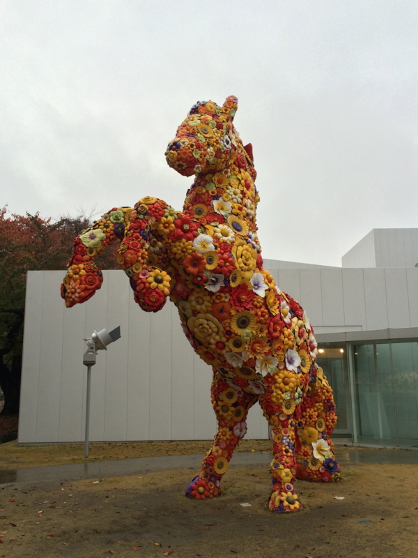 f:id:h1karu:20141021151746j:image:w360