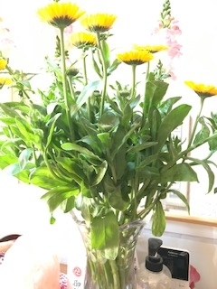 f:id:h2okayama:20210604073223j:plain