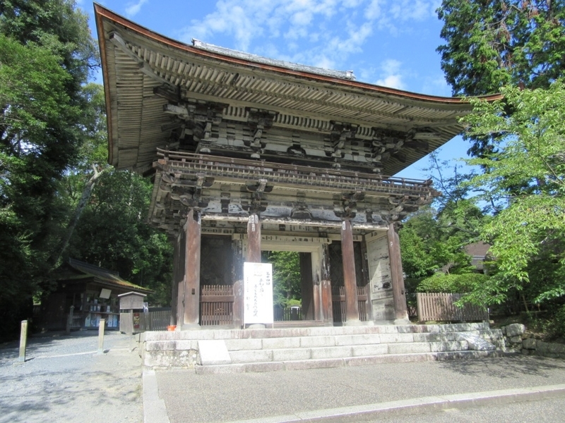 f:id:h30shimotsuki14:20190808020210j:plain f:id:h30shimotsuki14:20190808020210j:plain