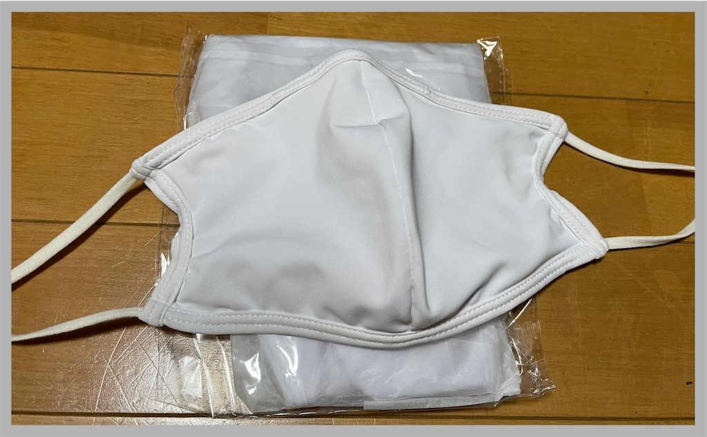f:id:h50kick:20201128214057j:plain