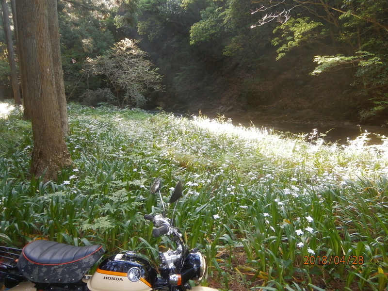 イメージ 13