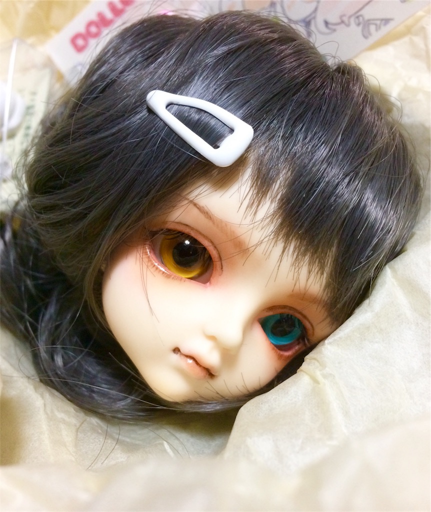 f:id:h6im0daruma:20171012112414j:image f:id:h6im0daruma:20171012112414j:image