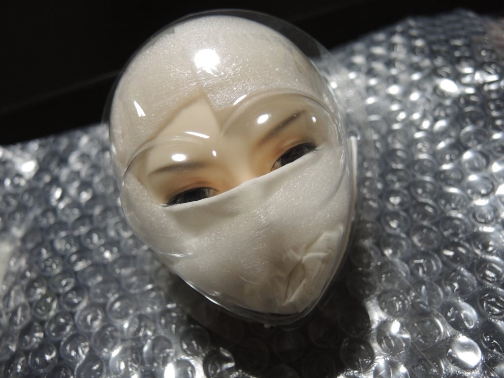 f:id:h6im0daruma:20171213130708j:image f:id:h6im0daruma:20171213130708j:image