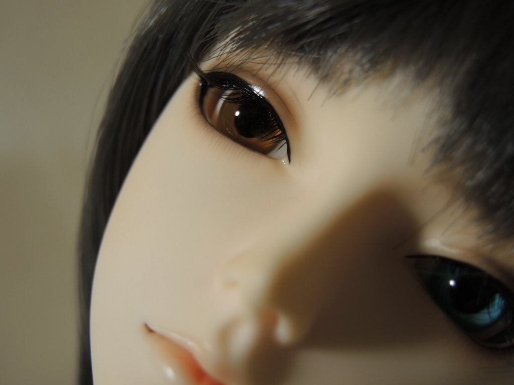 f:id:h6im0daruma:20171213132510j:image f:id:h6im0daruma:20171213132510j:image