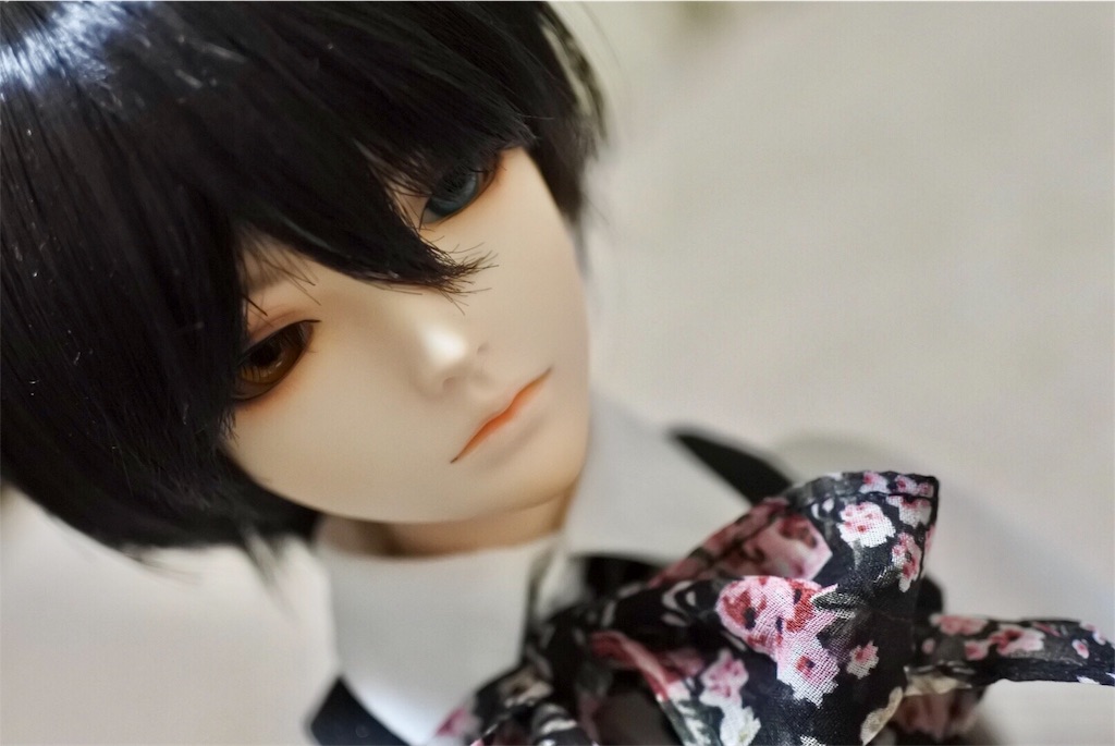 f:id:h6im0daruma:20180104011518j:image f:id:h6im0daruma:20180104011518j:image