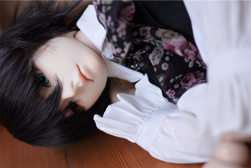 f:id:h6im0daruma:20180201220559j:image f:id:h6im0daruma:20180201220559j:image