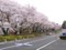 20120406081903
