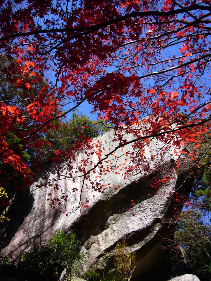 f:id:h_3:20081201191200j:image