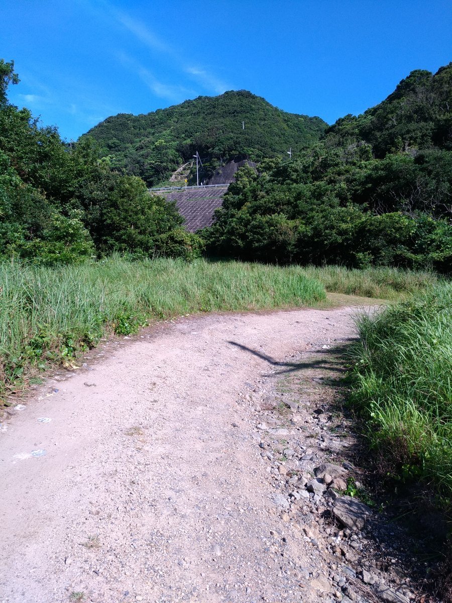 f:id:h_3:20200812081136j:plain