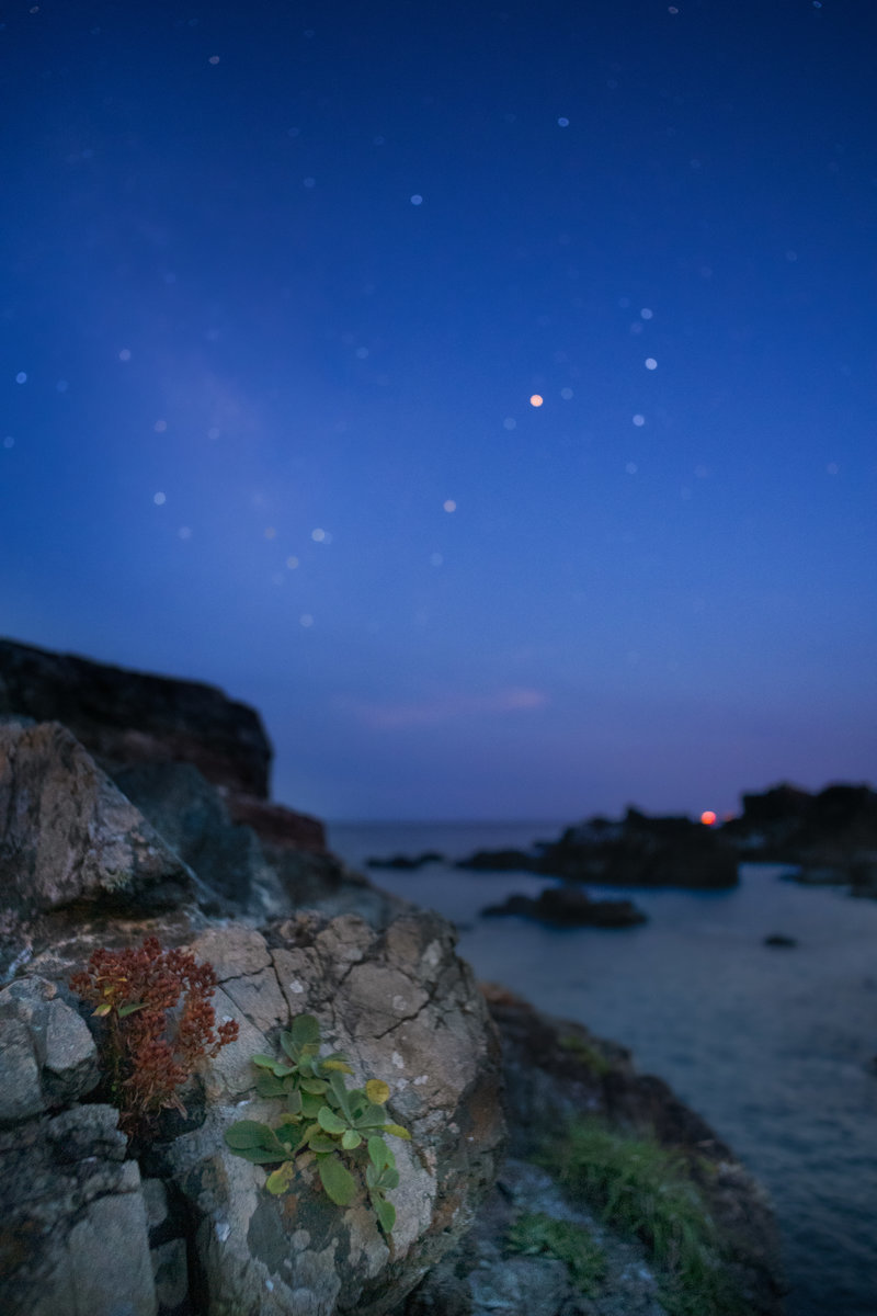 f:id:h_3:20200820193027j:plain