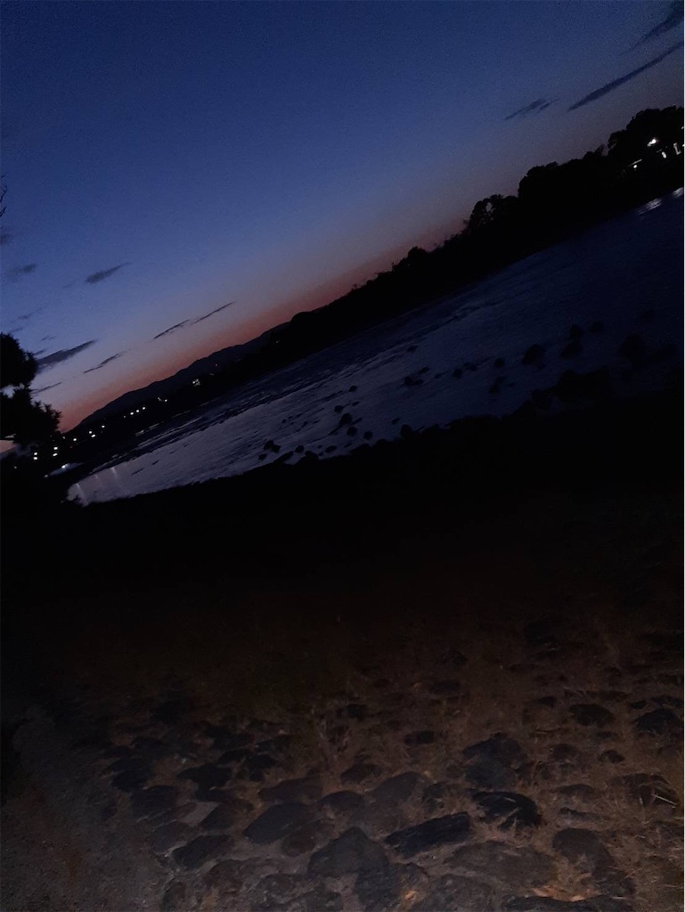 f:id:h_h_m29:20201026141143j:image f:id:h_h_m29:20201026141143j:image