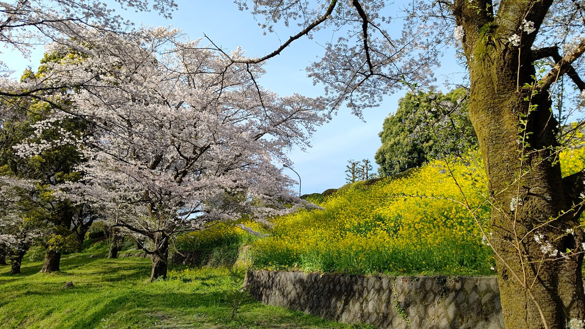 f:id:h_konchan:20220404205026p:plain