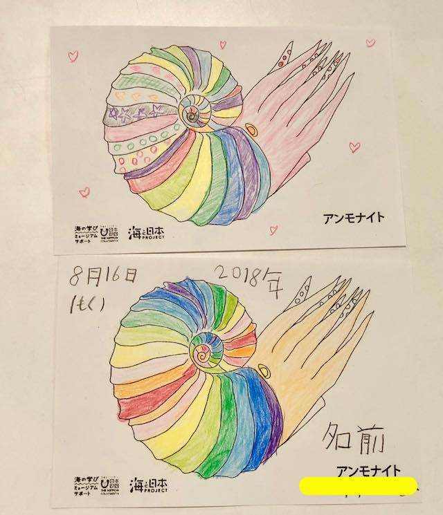 姪っ子ちゃんと一緒に塗ったアンモナイトの塗り絵