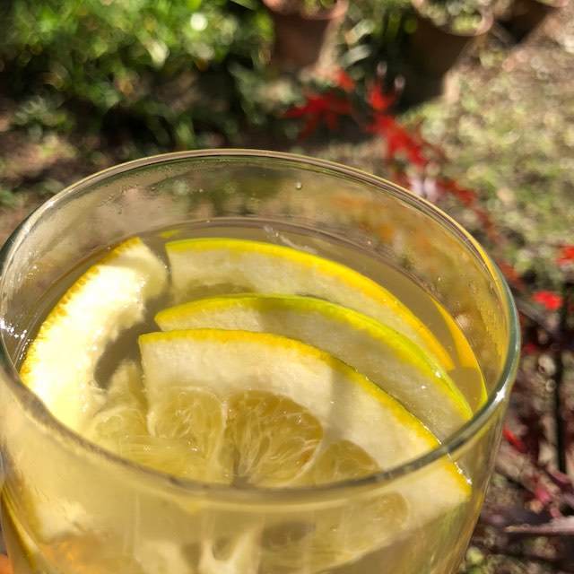 ダイダイとハチミツのドリンク