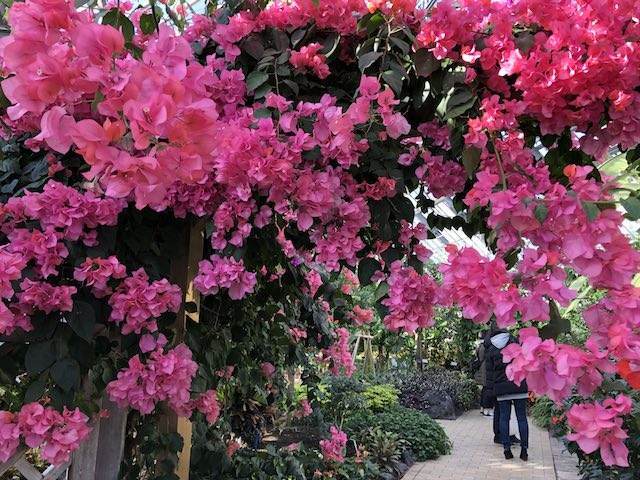 北九州　響灘緑地　グリーンパーク