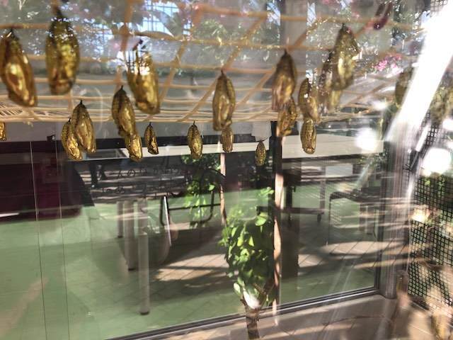北九州　響灘緑地　グリーンパーク