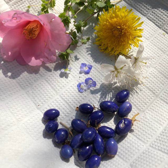 庭の花たちを少しいただきました。