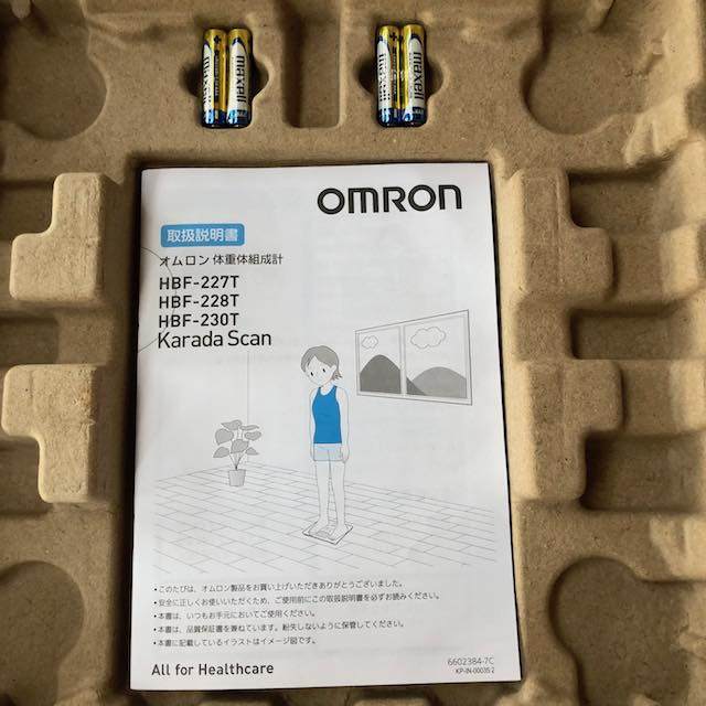 本体を取ると電池と説明書