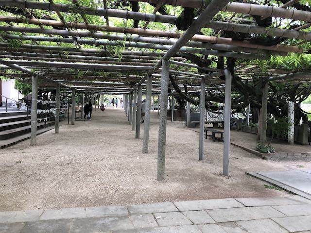 午後ちょっとお出かけ 吉祥寺 平尾台 やぶ うどん蕎麦 ホームセンター グッデイ 好きなものを集めたら 午後ちょっとお出かけ 吉祥寺 平尾台 やぶ うどん蕎麦 ホームセンター グッデイ 好きなものを集めたら