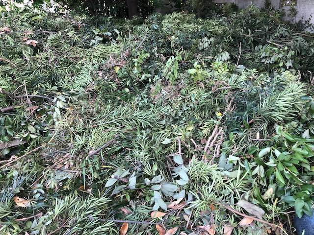 伐った枝の山