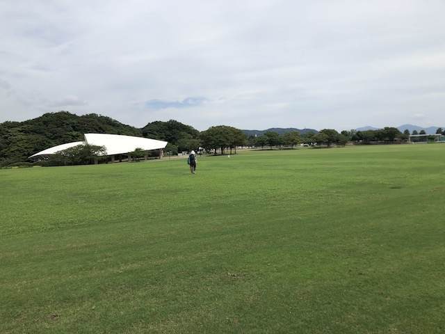 グリーンパーク大芝生