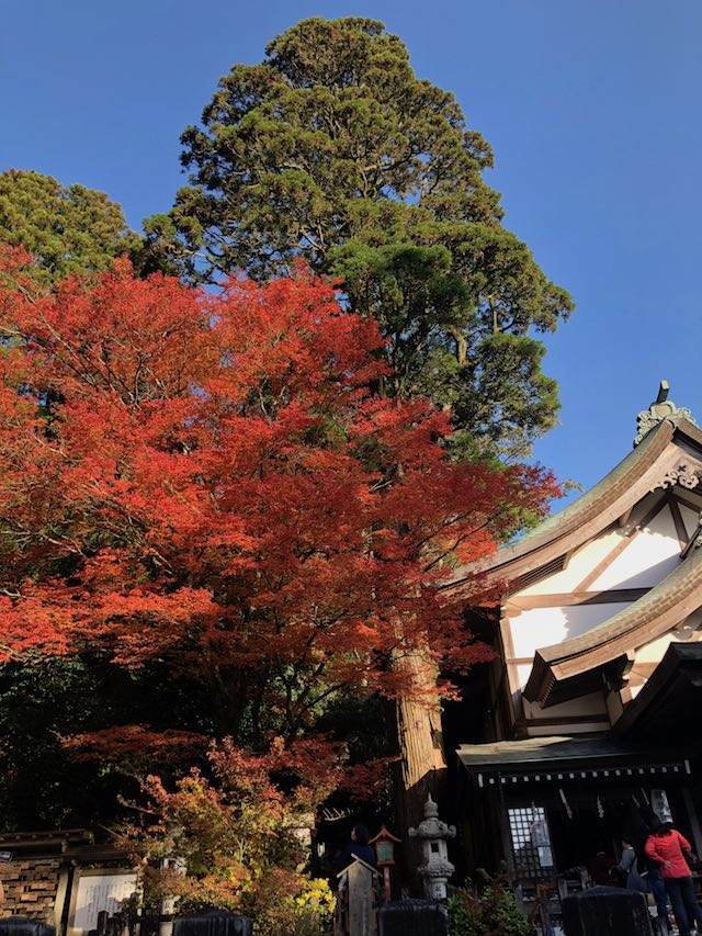 英彦山神宮