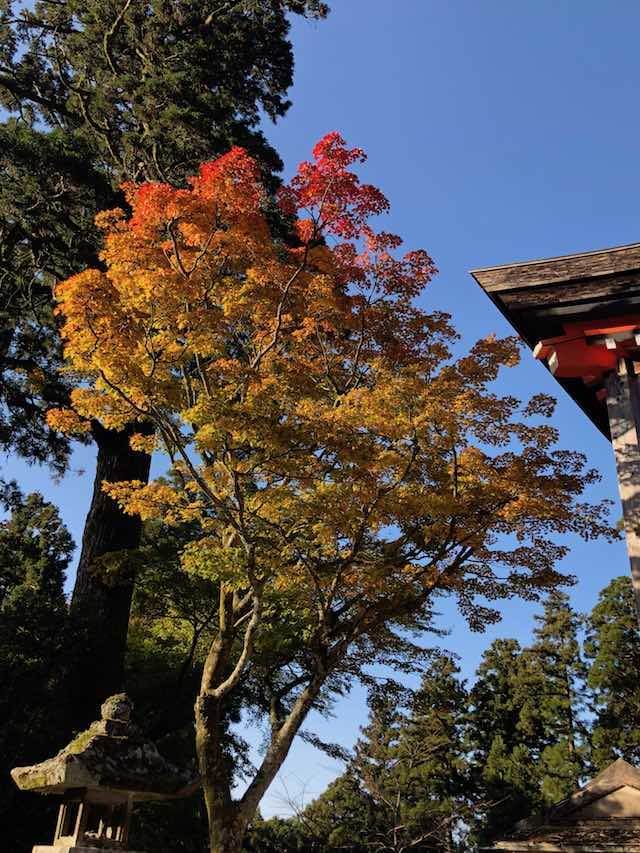 英彦山神宮