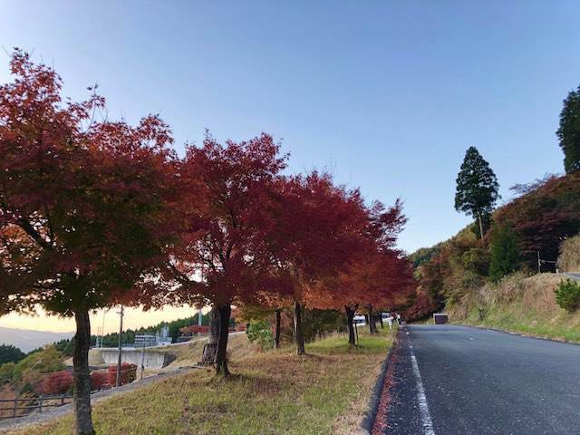しゃくなげ荘脇の道路にて
