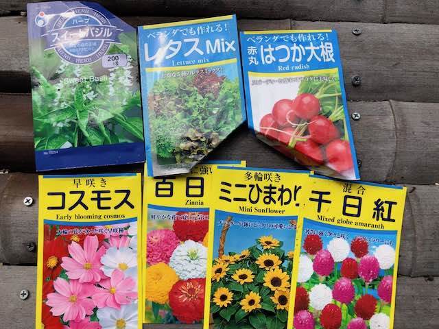 卵パックにバジルの種まき 二十日大根その他の種まき ハーブと庭と健康と