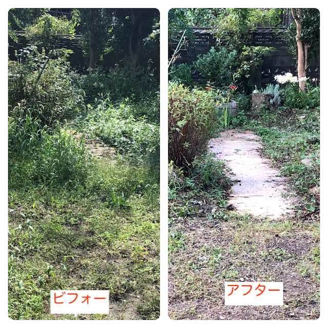 草刈り