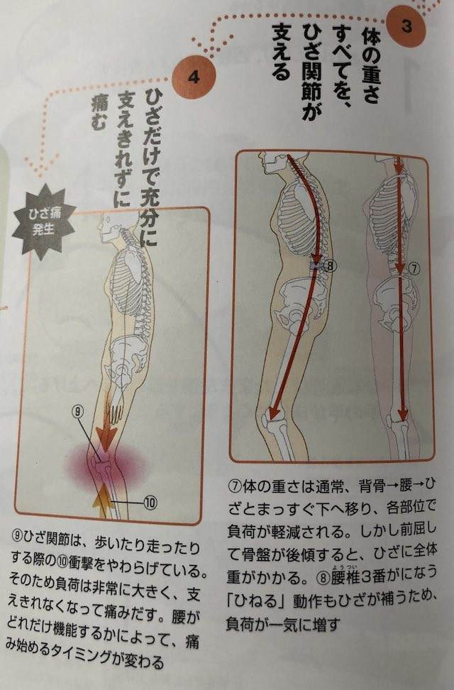 弱った体がよみがえる人体力学　膝痛２