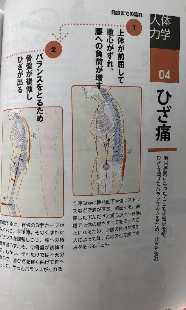 弱った体がよみがえる人体力学　膝痛１