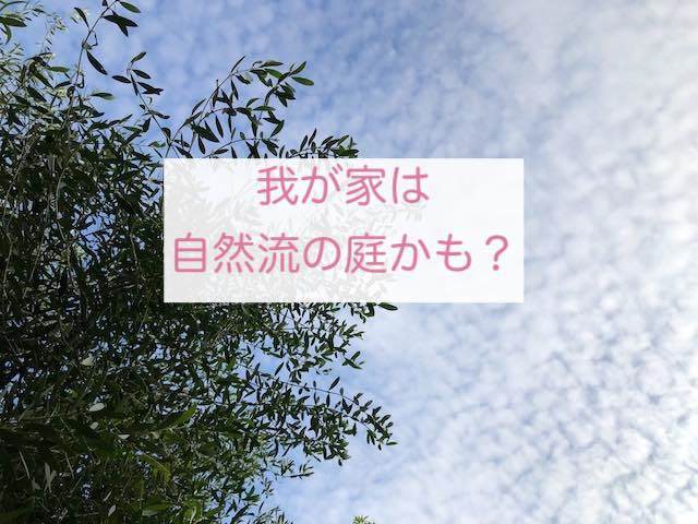 自然流の庭