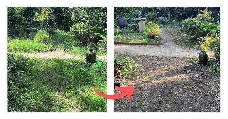 庭の草刈り ビフォー&アフター