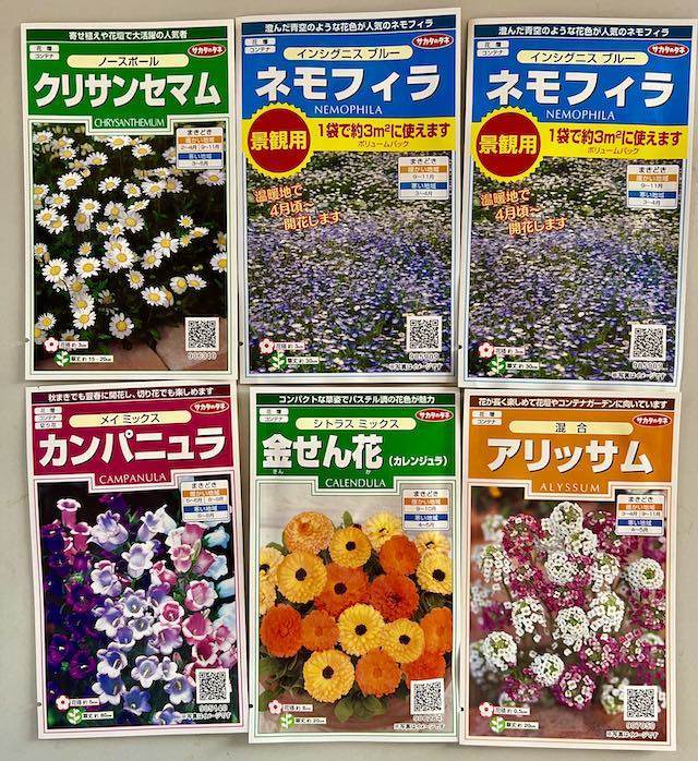 秋植え花の種
