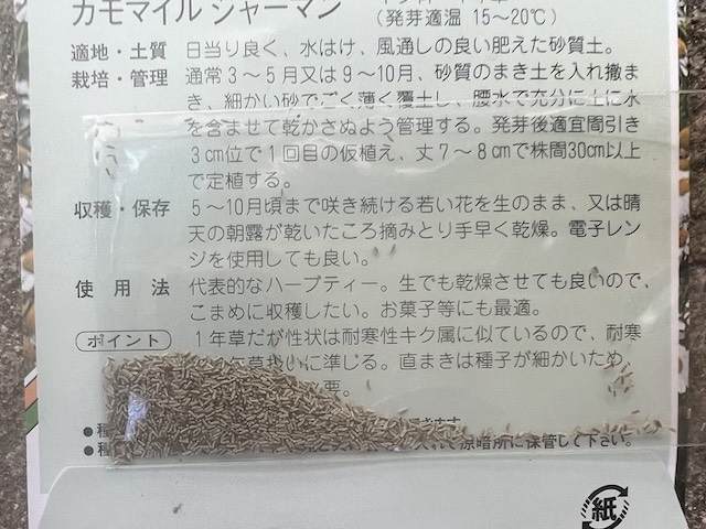 ジャーマンカモミール種