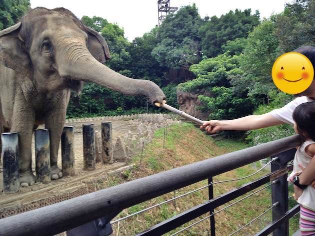 ゾウさんにエサをあげられる動物園