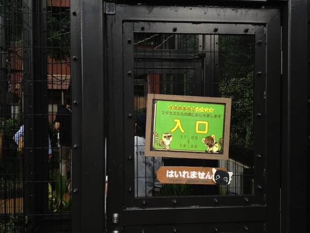 限定イベント　
