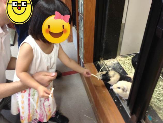 どうぶつに触れられるコーナー