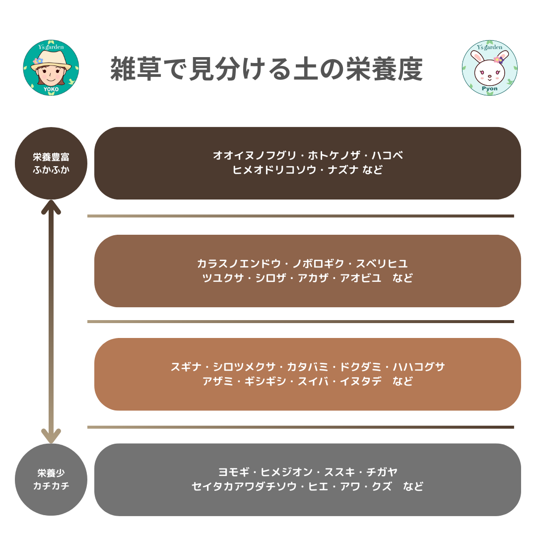 雑草で見分ける土の栄養度
