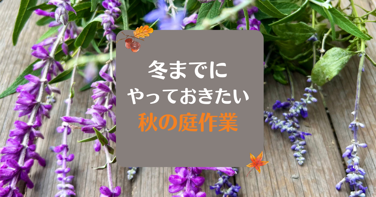 冬までにやっておきたい秋の庭作業