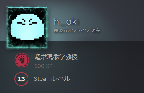 steam profile